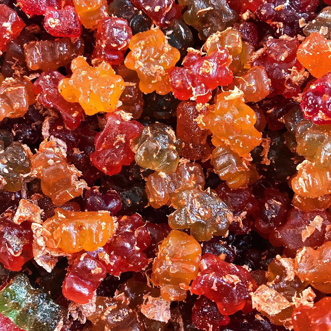 Gummy Bears – KANDY KORNER
